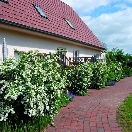 Reihenhaus Mit Wlan In Buchholz Am Mueritzsee * Buchholz (Mecklenburg-Vorpommern)